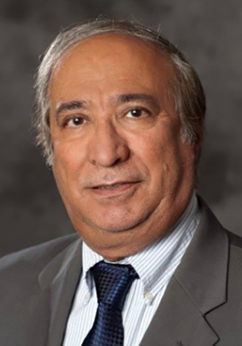 Fred Aminzadeh